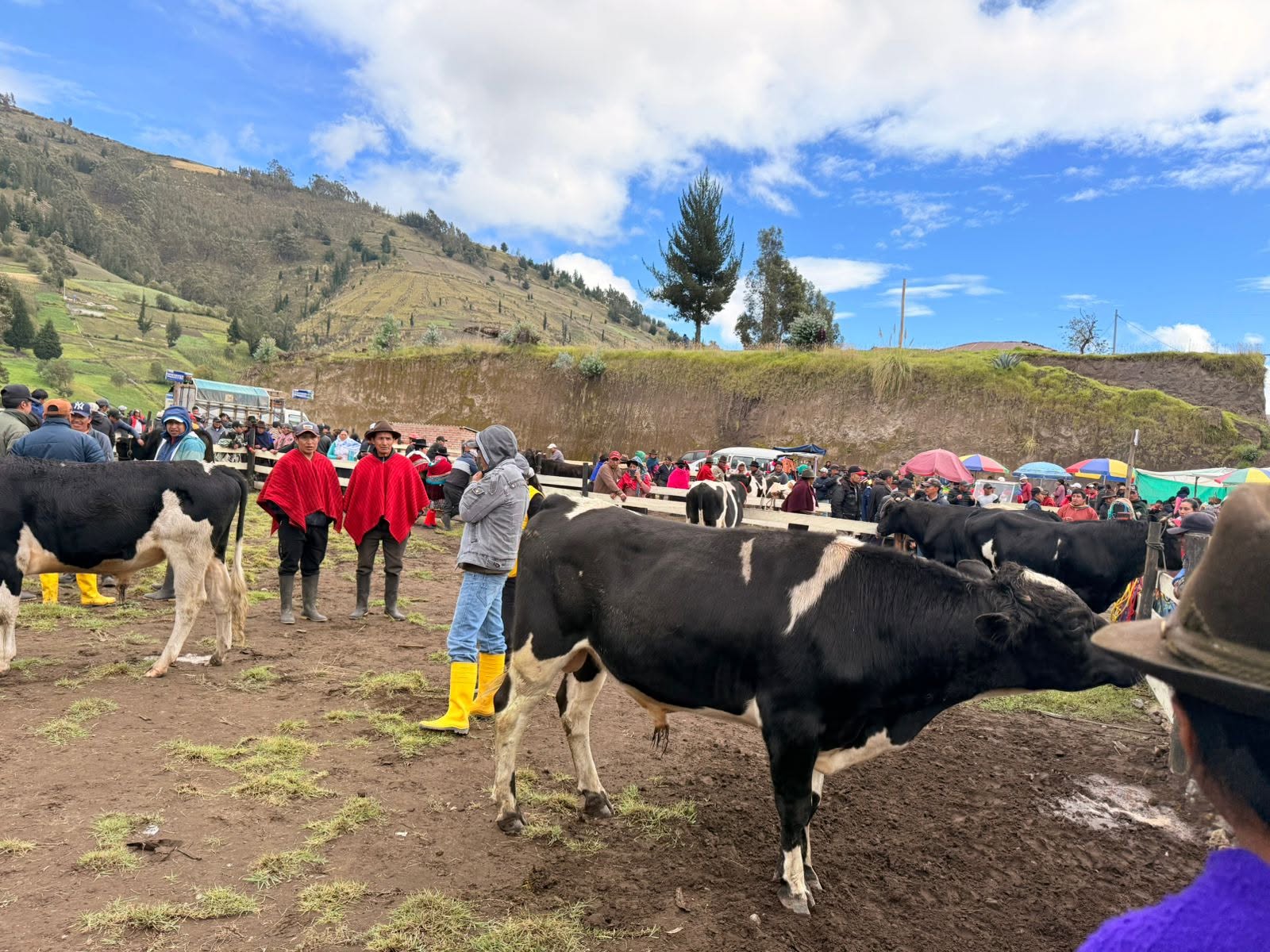 LA FERIA CONTINÚA EN CEBADAS
